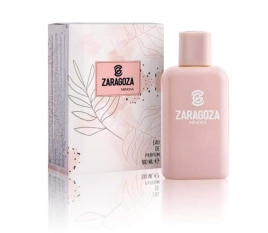 Zaragoza عطر ستاتي 100 ملم من